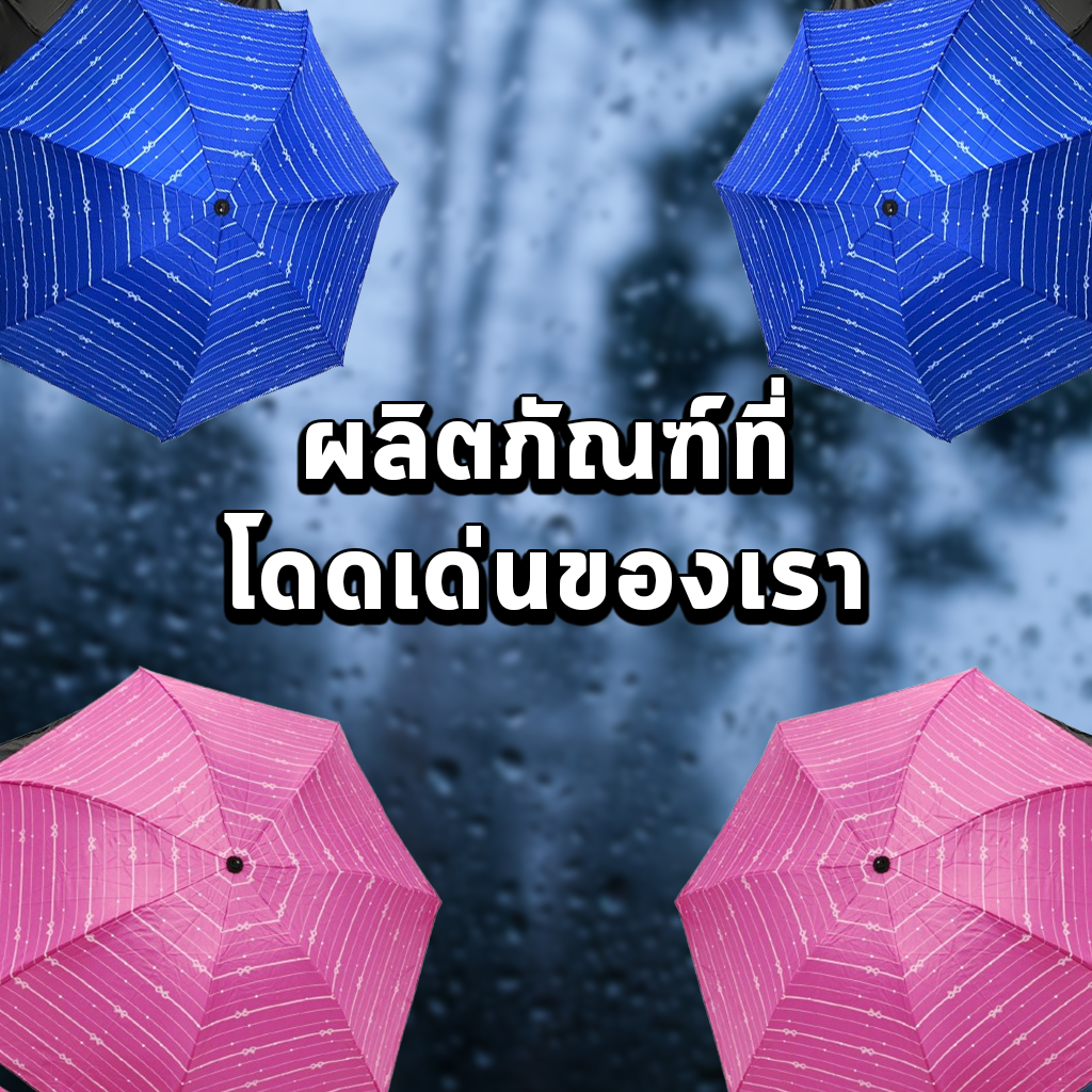 ผลิตภัณฑ์ที่โดดเด่นของเรา